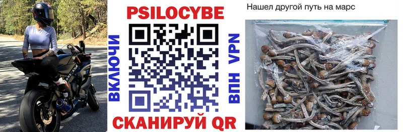 Галлюциногенные грибы прущие грибы  купить закладку  Салаир 