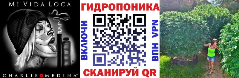 Марихуана индика  Салаир 